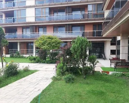 студио-